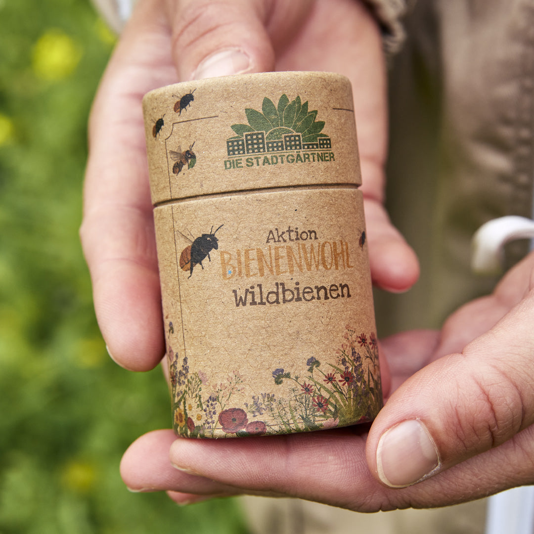 30 m² Wildbienenwiese – Saatgut-Mix