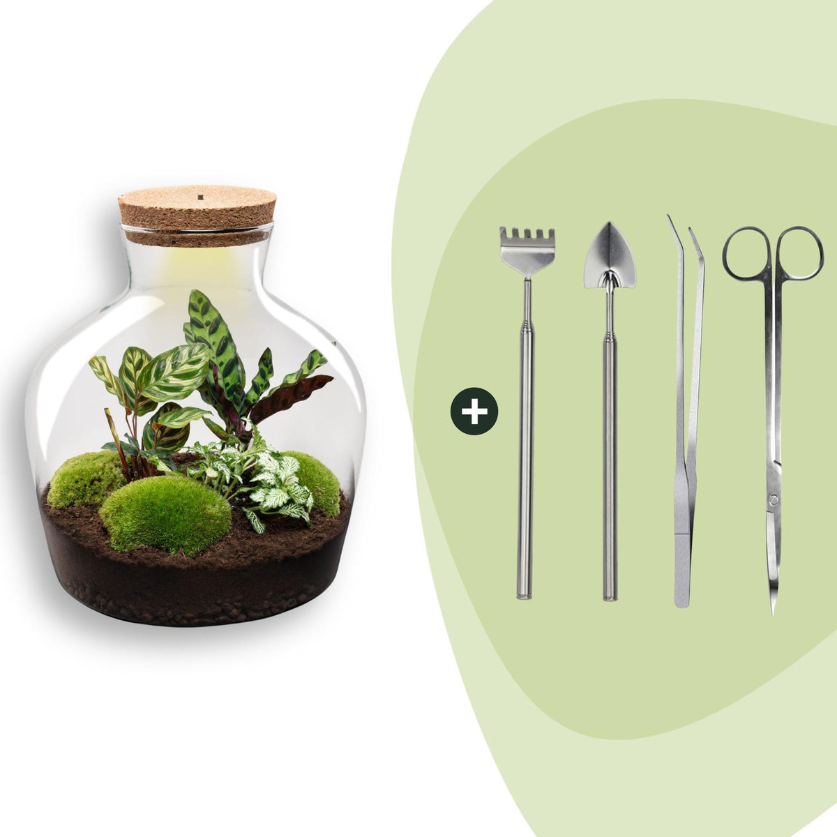 Flaschengarten DIY Bausatz Fat Joe – Terrarium Set mit Pflanzen, Moos & Zubehör – Ø29cm ↕30cm – Ansicht 9