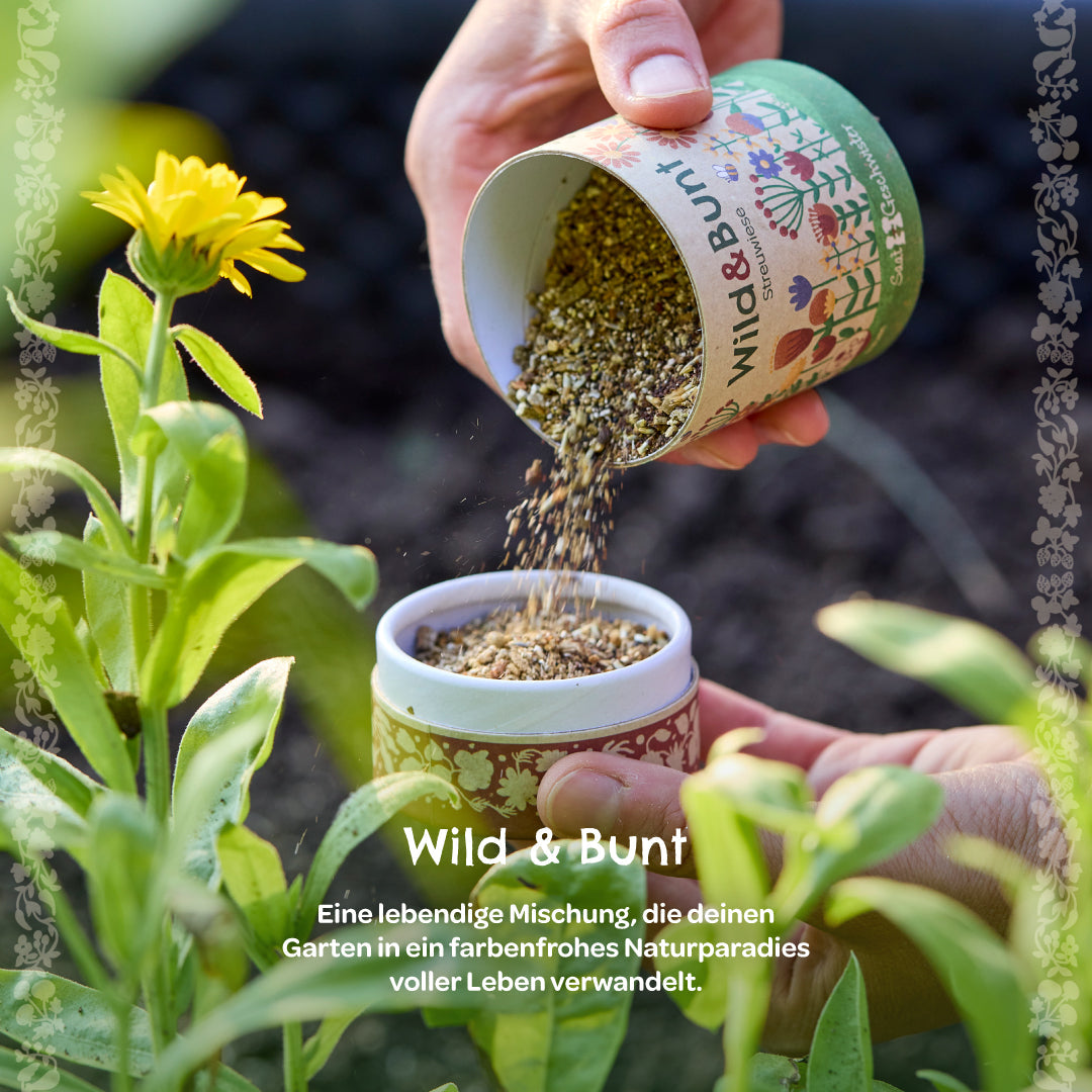 Streuwiese "Wild & Bunt"