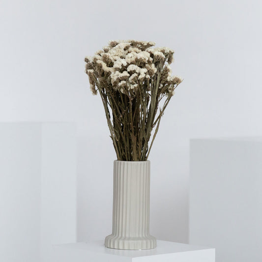Strandflieder - Limonium Statice