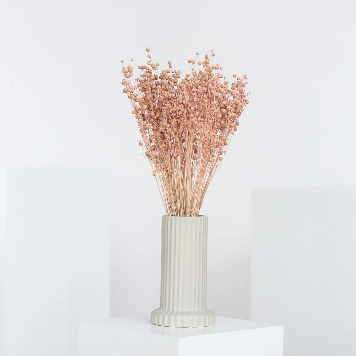 Flachs | Linum