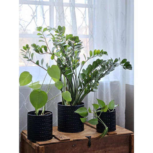 Blumentopf Übertopf Pflanzenkübel Topf Kübel 3er Set schwarz rund Metall Matt
