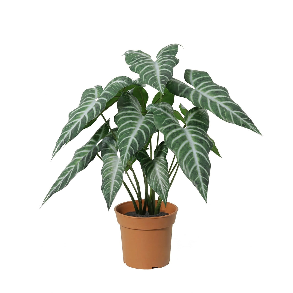 Künstliche Alocasia Polly 49cm im Topf – realistische Elefantenohr Kunstpflanze mit markanten Blättern – pflegefreie Zimmerdeko für Regal, Fensterbank & Schreibtisch – ganzjährig grün