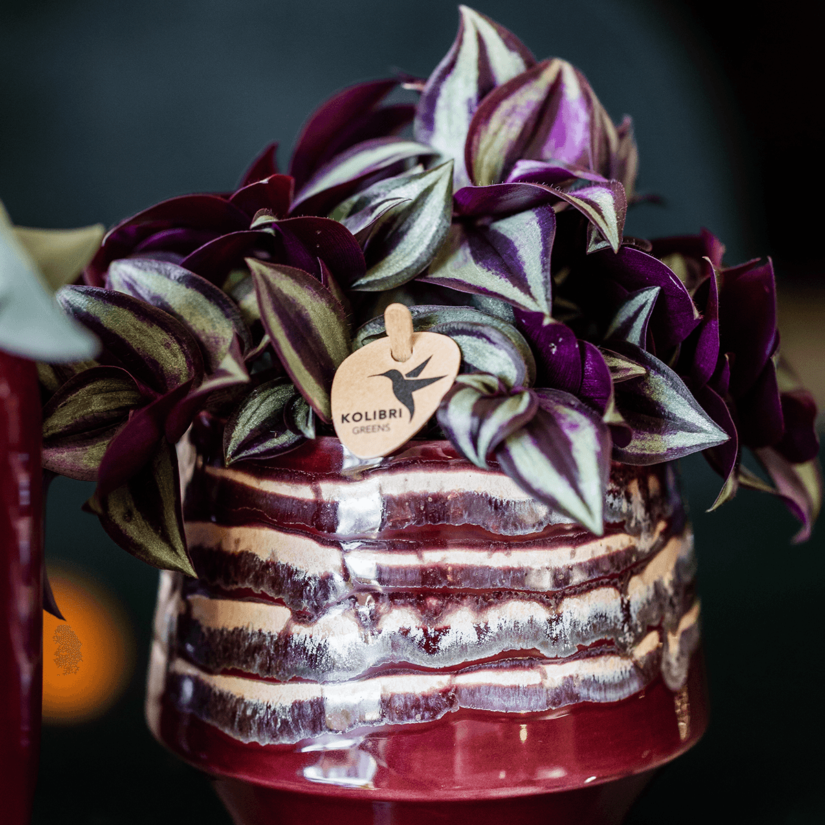 Kolibri Home | Moonstone Burgundy Übertopf - Ø9cm