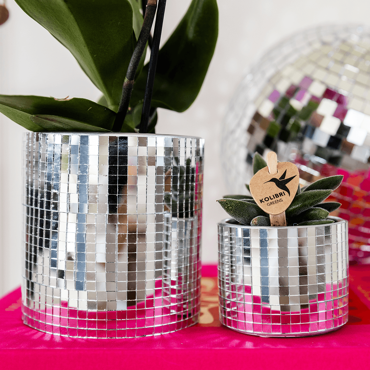 Kolibri Home | Disco sierpot - Ø6cm