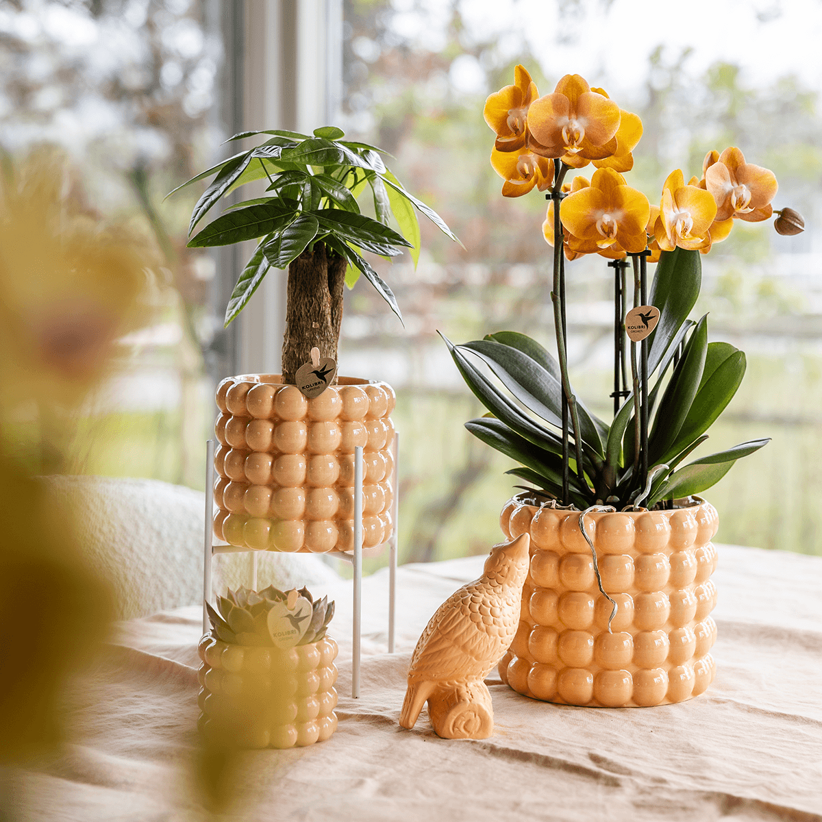 Kolibri Home | Poppy Ziertopf - Peach - Ø12cm