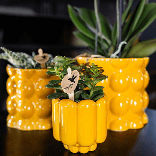 Kolibri Home | Retro Shine Übertopf - Yellow - Ø6cm