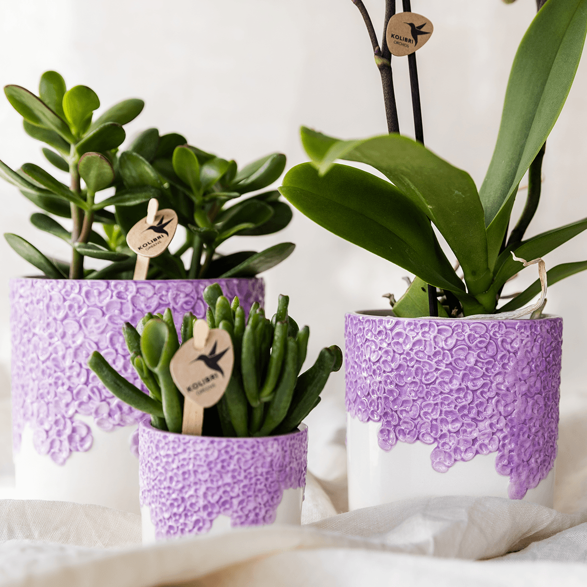 Kolibri Company | Kombi‑Deal | Bloom Lila Übertopf‑Set – 6 cm + 9 cm + 12 cm