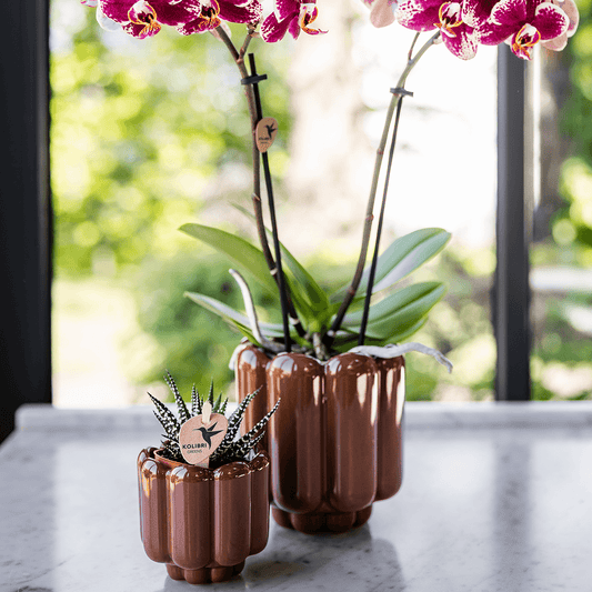 Kolibri Home | Retro Shine Übertopf - Brown - Ø9cm