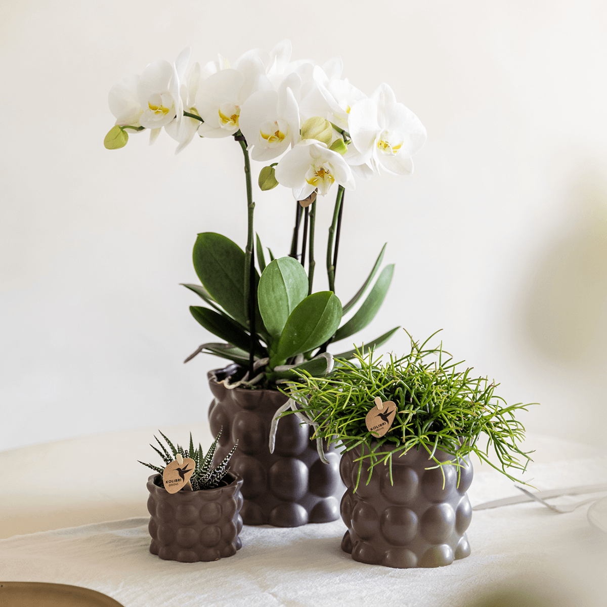 Kolibri Home | Cotton sierpot - Brown - Ø6cm