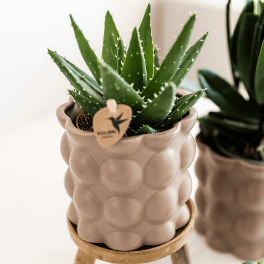 Kolibri Home | Cotton sierpot - Sand - Ø9cm