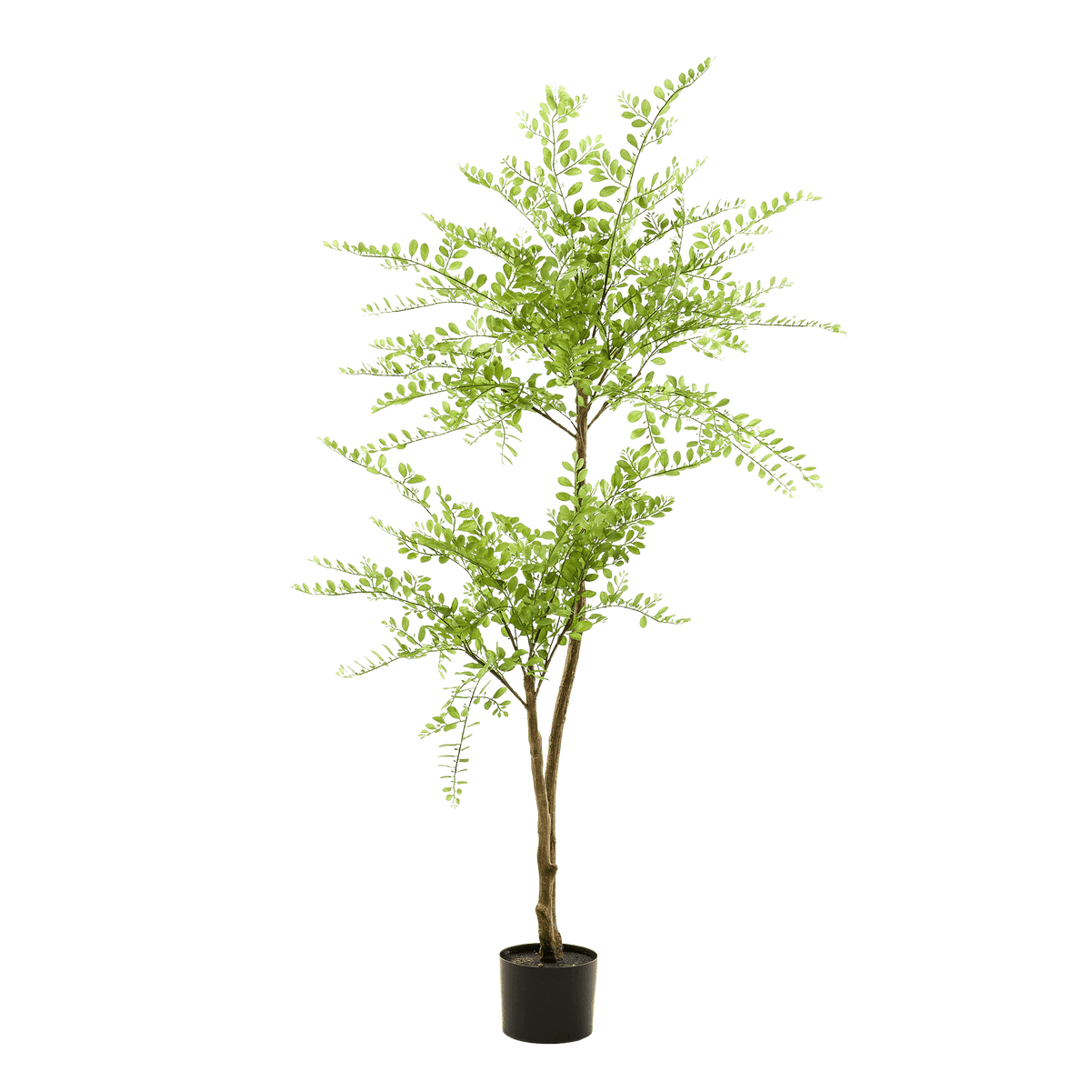 Kunstpflanze Sophorabaum – Honigbaum – 140cm – Pflegeleichter Deko-Baum für Zuhause & Büro – Realistischer Look – Ideal für Wohnräume