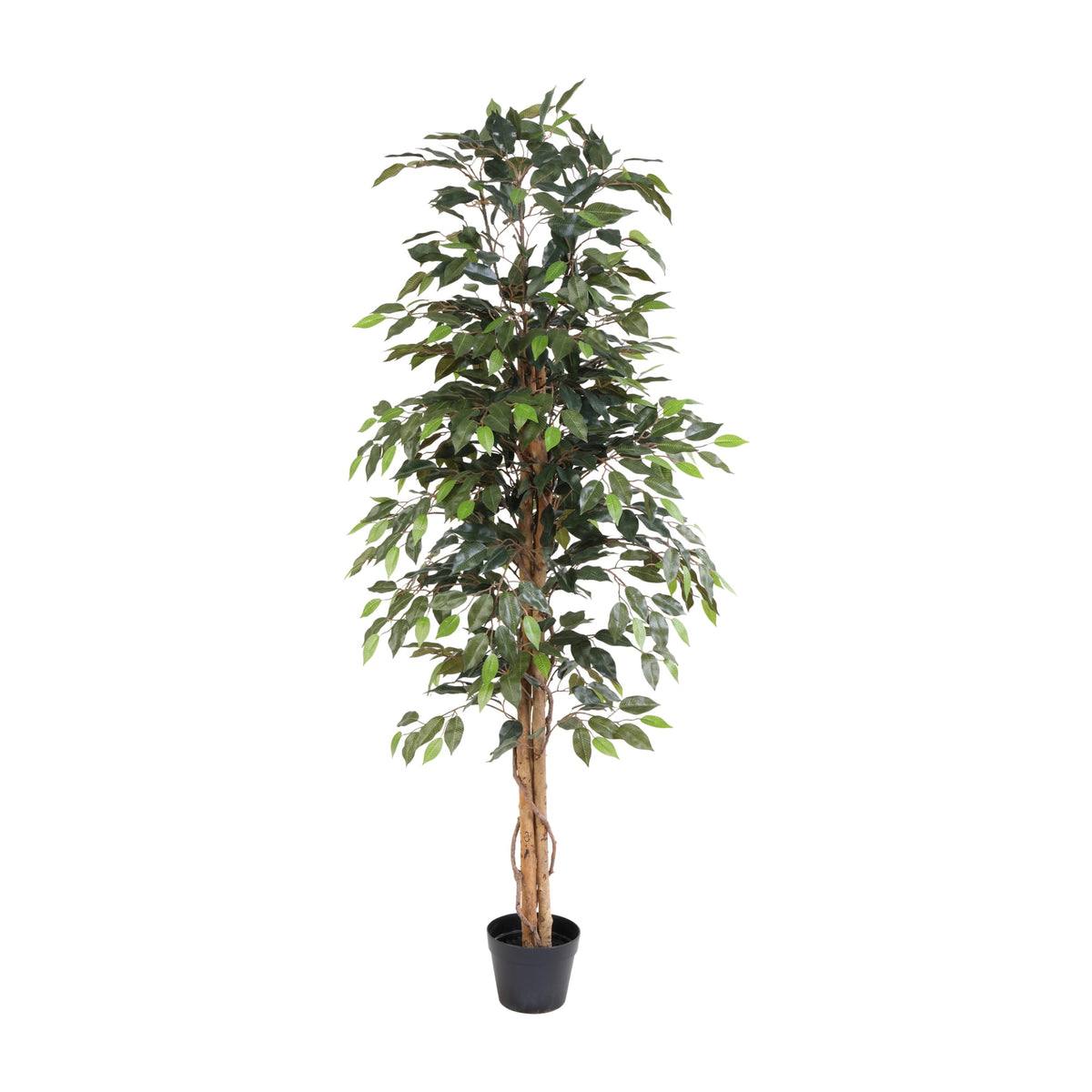 ARTIFICIAL Ficus Benjamina - 160cm