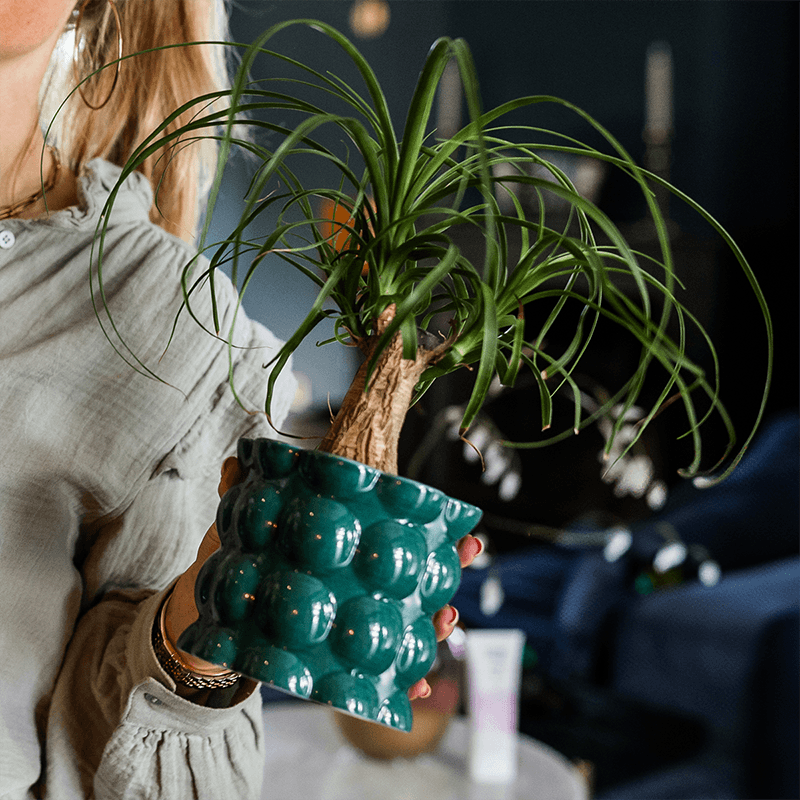Kolibri Home | Cotton Shine Übertopf - Green - Ø9cm