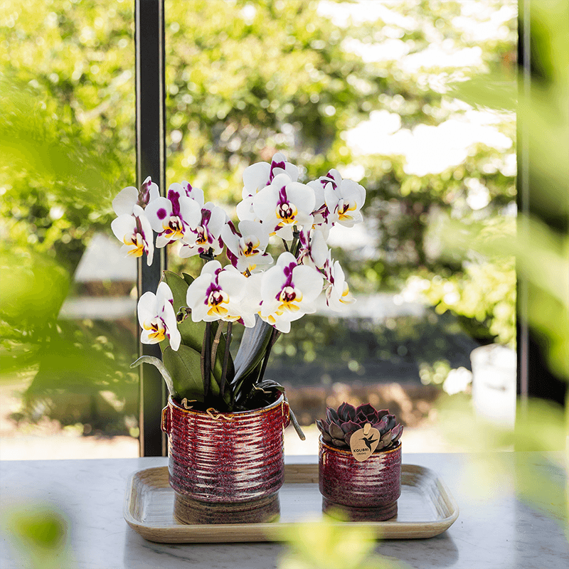 Kolibri Home | Aura sierpot - Ø9cm