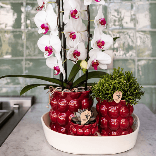 Kolibri Home | Cotton Shine Übertopf - Red - Ø9cm