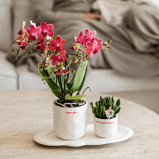 Kolibri Home | I Love You Ziertopf - Ø9cm