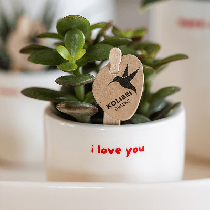 Kolibri Home | I Love You Ziertopf - Ø6cm