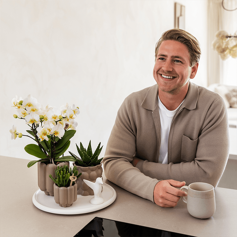Kolibri Orchids | Geschenkset Slow Living | Grüne Pflanzen mit Weißer Phalaenopsis Orchidee Lausanne in Beigen Keramiktöpfen auf Weißem Tablett