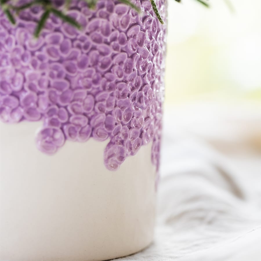Kolibri Orchids | Lila Freeride Niagara Falls Orchidee + Lila Bloom-Übertopf – Topfgröße Ø12 cm | Blühende Zimmerpflanze – Frisch vom Züchter