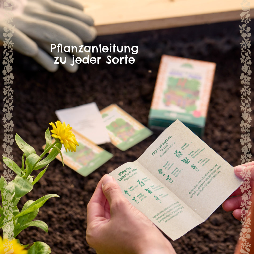 Saatgut-Set "Wildblumen"