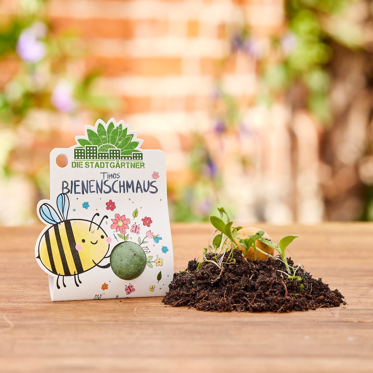 3 x 1 Blumenmurmel – Alle Sorten