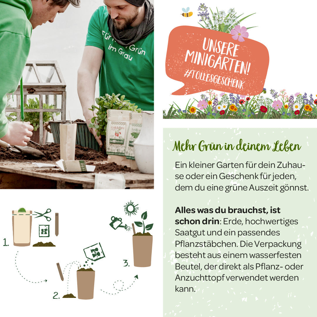 Anzuchtset – Minigarten Satans Garten 