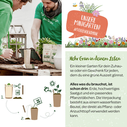 Anzuchtset – Minigarten Satans Garten 