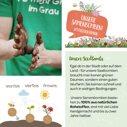 5 Samenbomben "Gärtnern ist Therapie" 