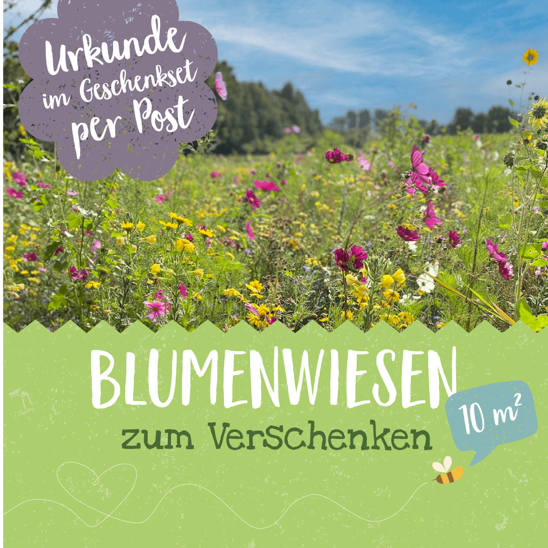 Blühpatenschafts-Geschenkset 
