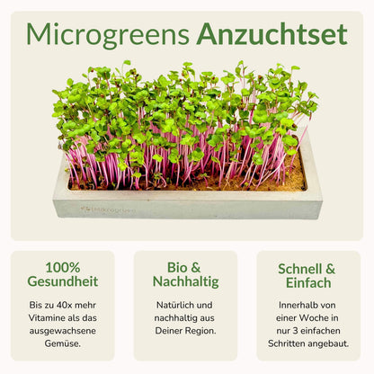 Microgreens Starter-Set 