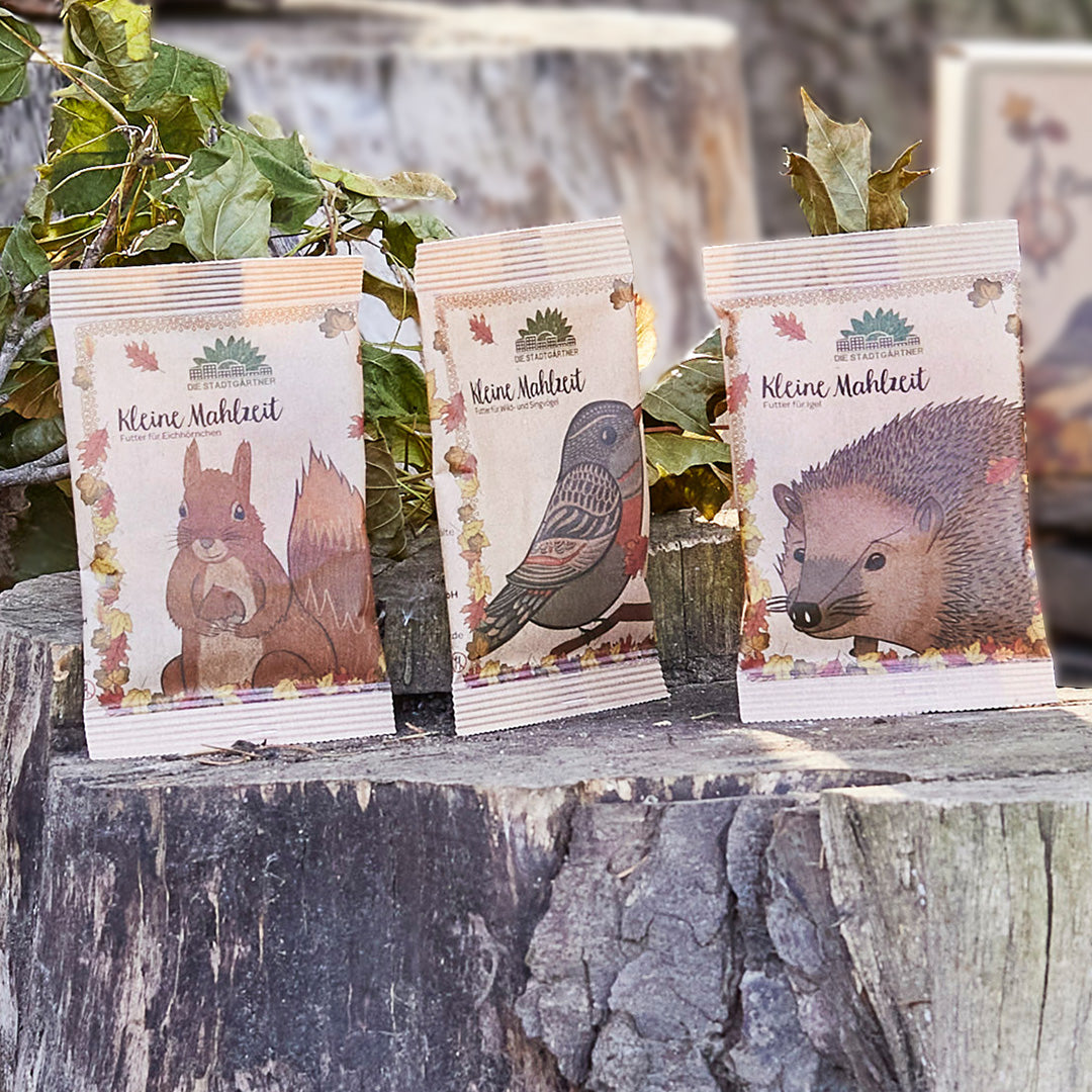 3 kleine Mahlzeiten für Igel, Eichhörnchen & Vögel 