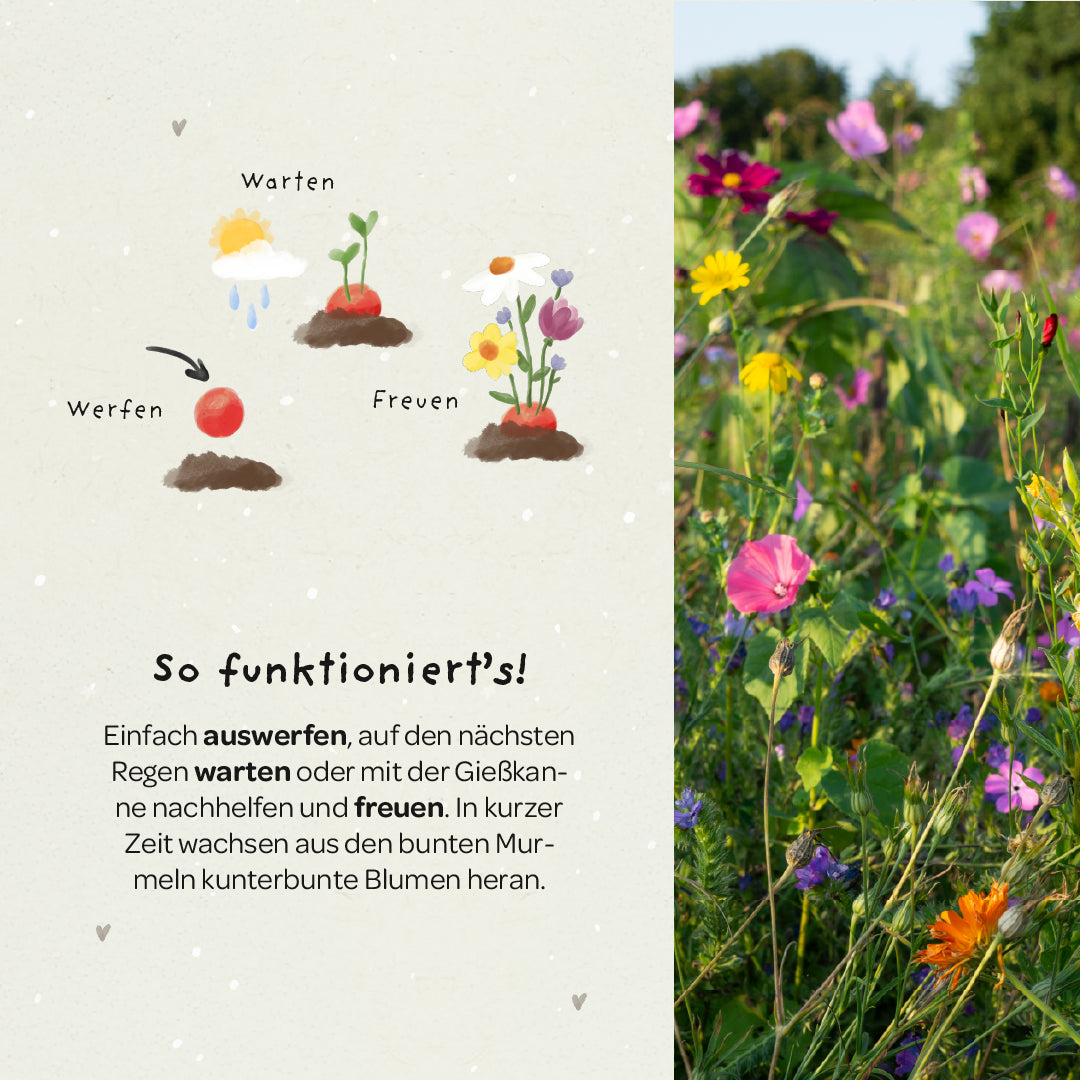 5 Blumenmurmeln im Tütchen zur Einschulung "Du bist 1. Klasse" 