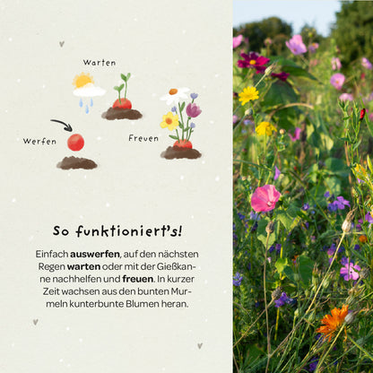 5 Blumenmurmeln im Tütchen zur Einschulung "Du bist 1. Klasse" 