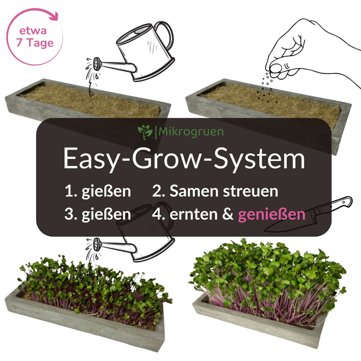 Microgreens Nachfüllset 