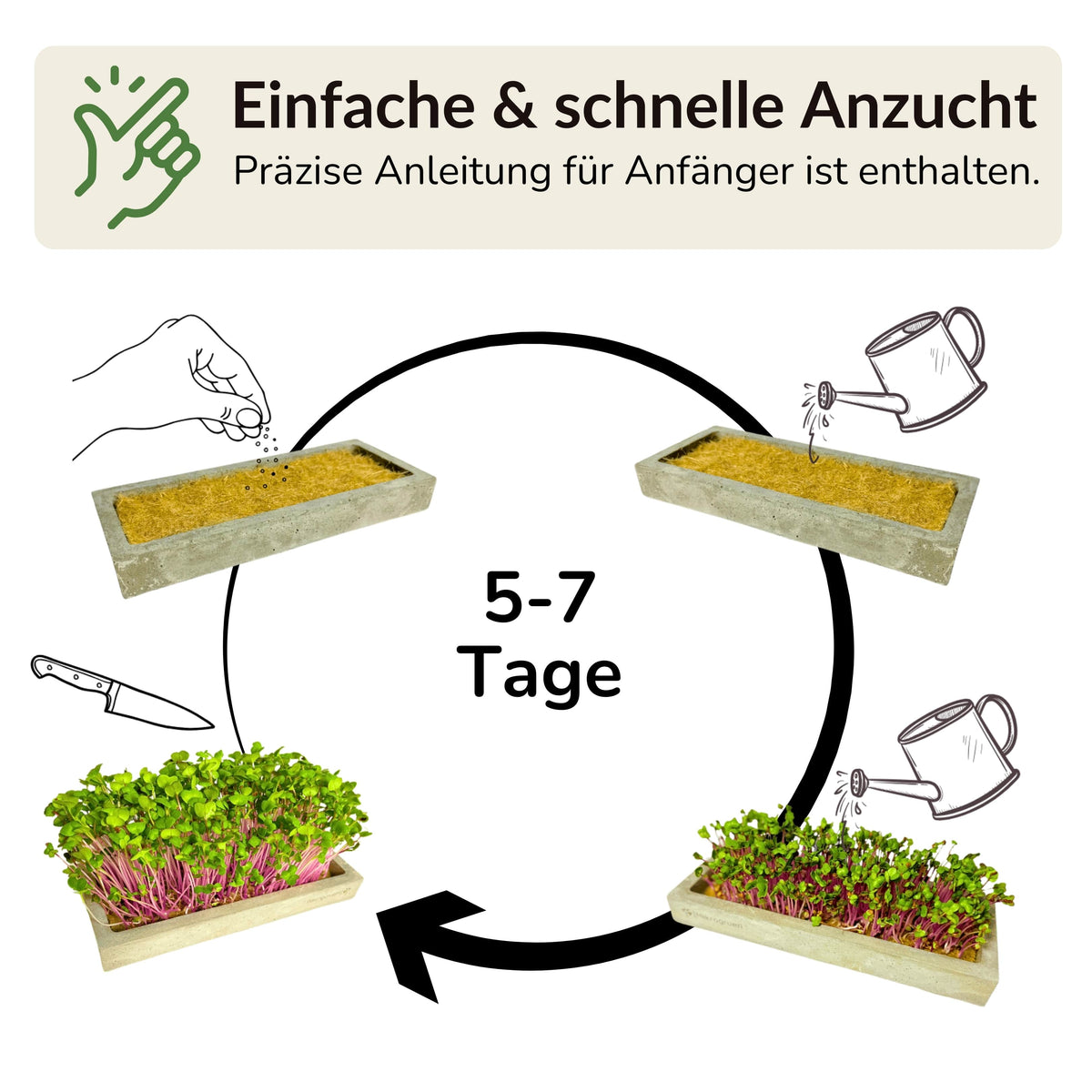 Microgreens Starter-Set 