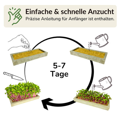 Microgreens Mini-Set 