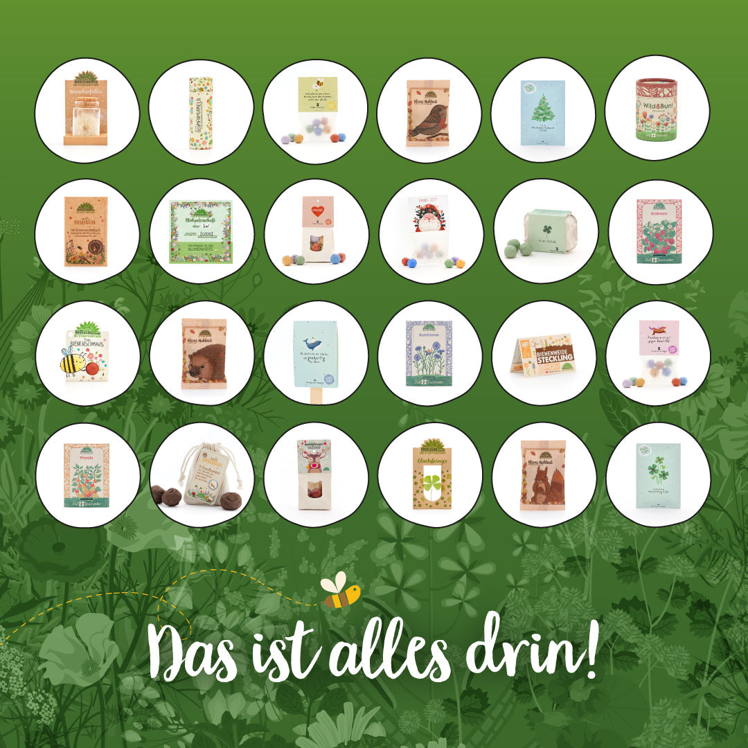 Adventskalender 2025 "Die Stadtgärtner" 