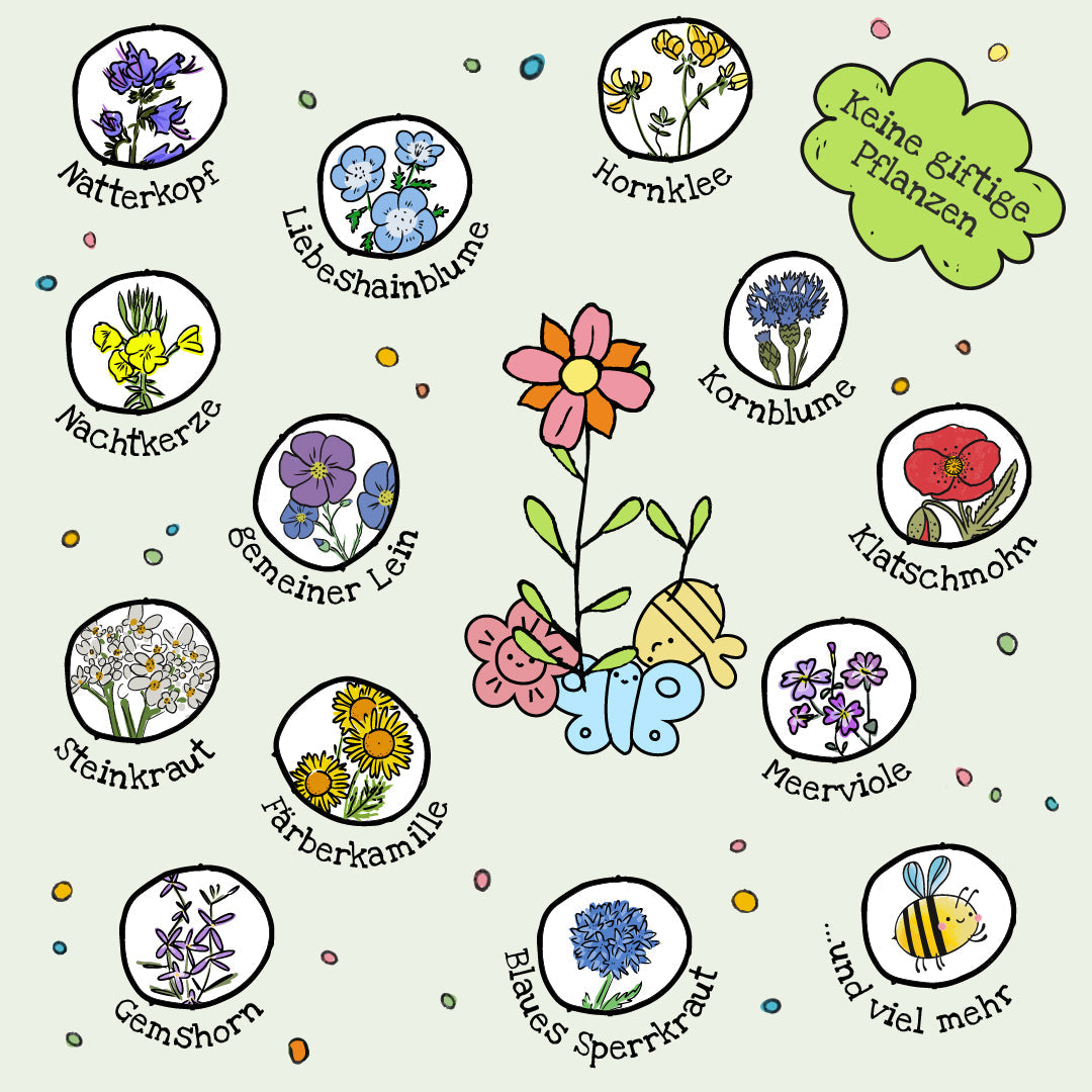 Buntes Saatgutkonfetti 