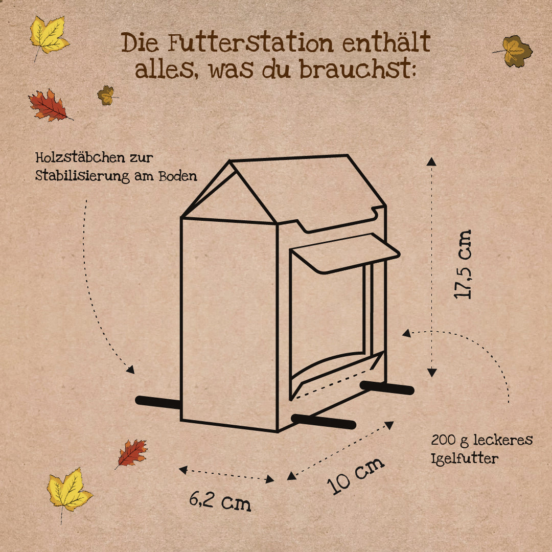 Freiluftbuffet für Igel 