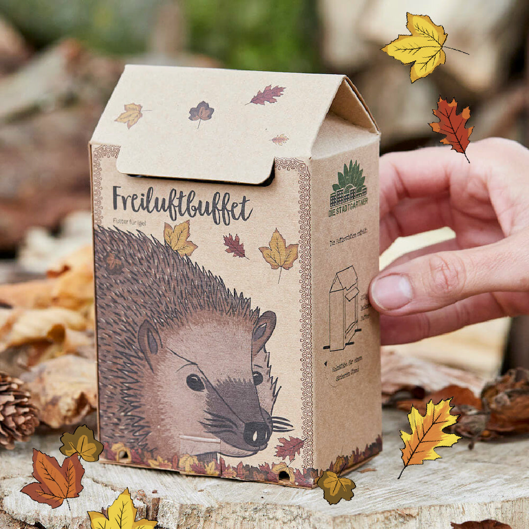 Freiluftbuffet für Igel 