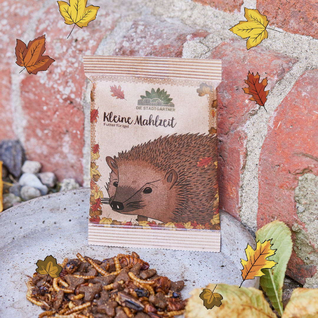 Kleine Mahlzeit – Igelfutter 