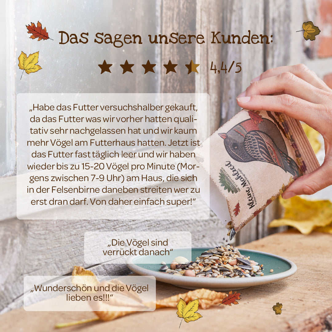 Kleine Mahlzeit – Vogelfutter 