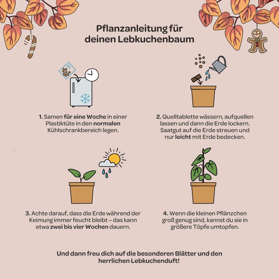 Lebkuchenbaum aus dem Becher 