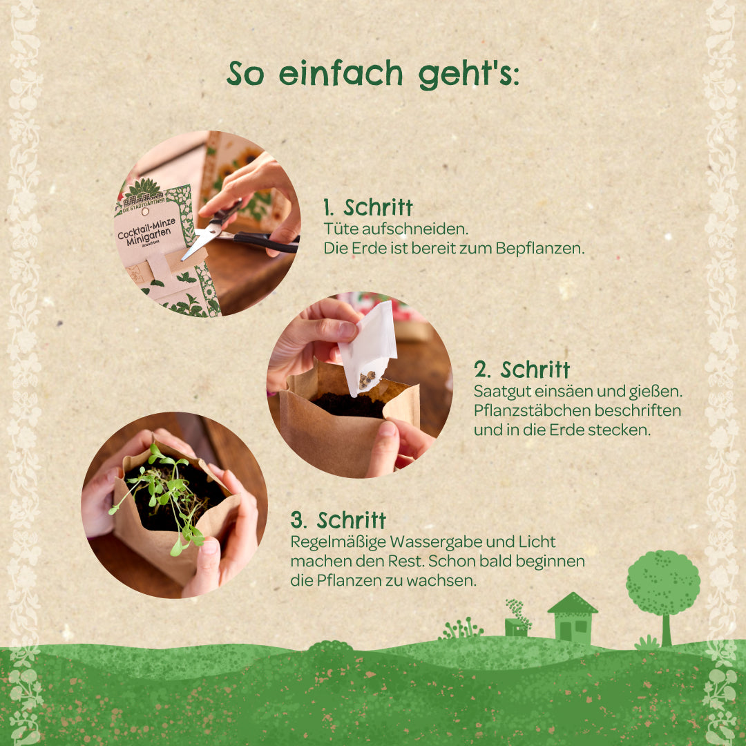 Anzuchtset – Minigarten Erdnuss 