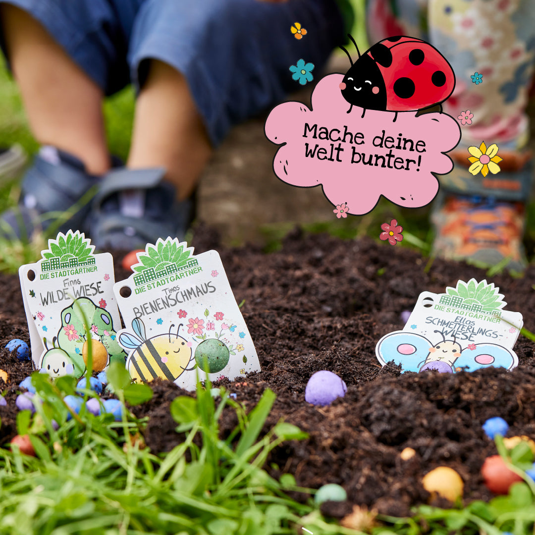 3 x 1 Blumenmurmel – Alle Sorten 