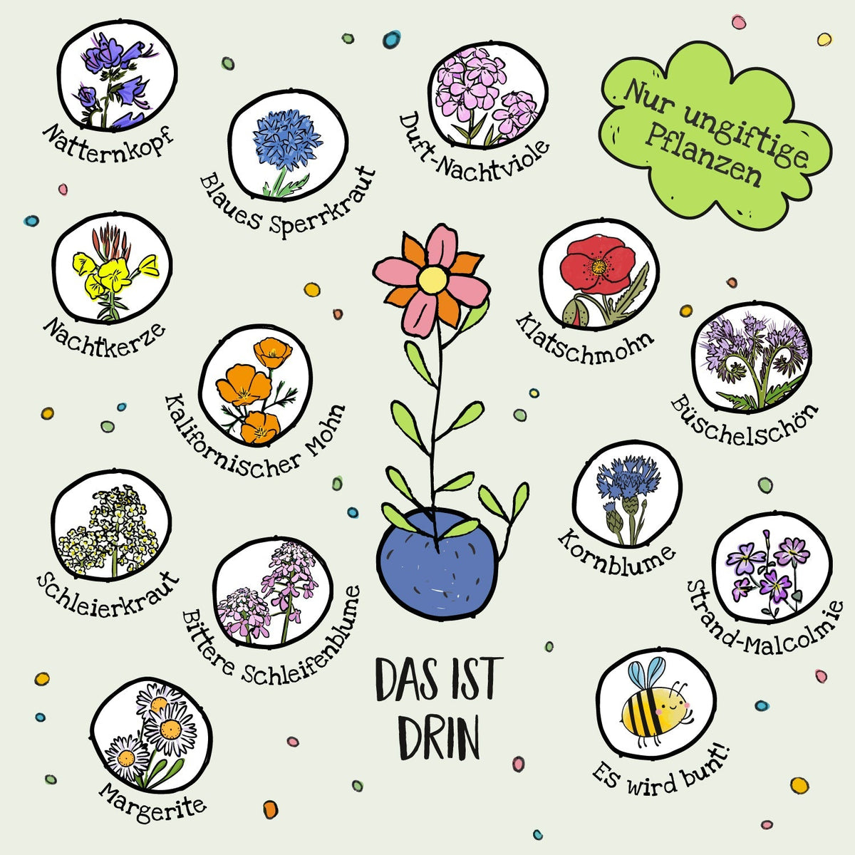 1 Blumenmurmel "Ellas Schmetterlingswiese" 