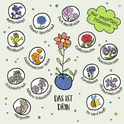 10x5 Blumenmurmeln im Tütchen "Frohes Fest" 