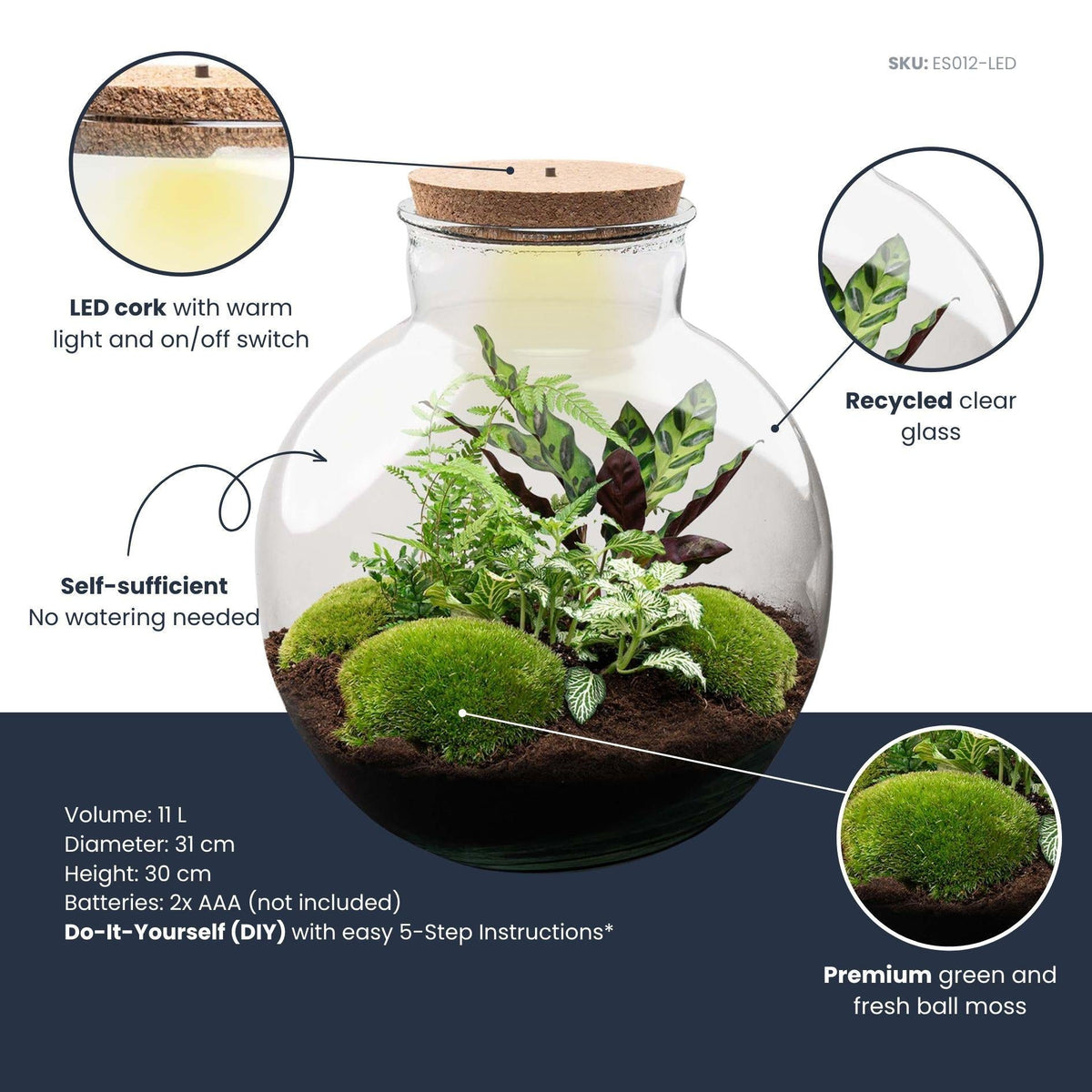 Flaschengarten Bolder Bob – Ø31cm – ↕30cm – DIY Terrarium mit Korkdeckel & Pflanzen – Ansicht 4