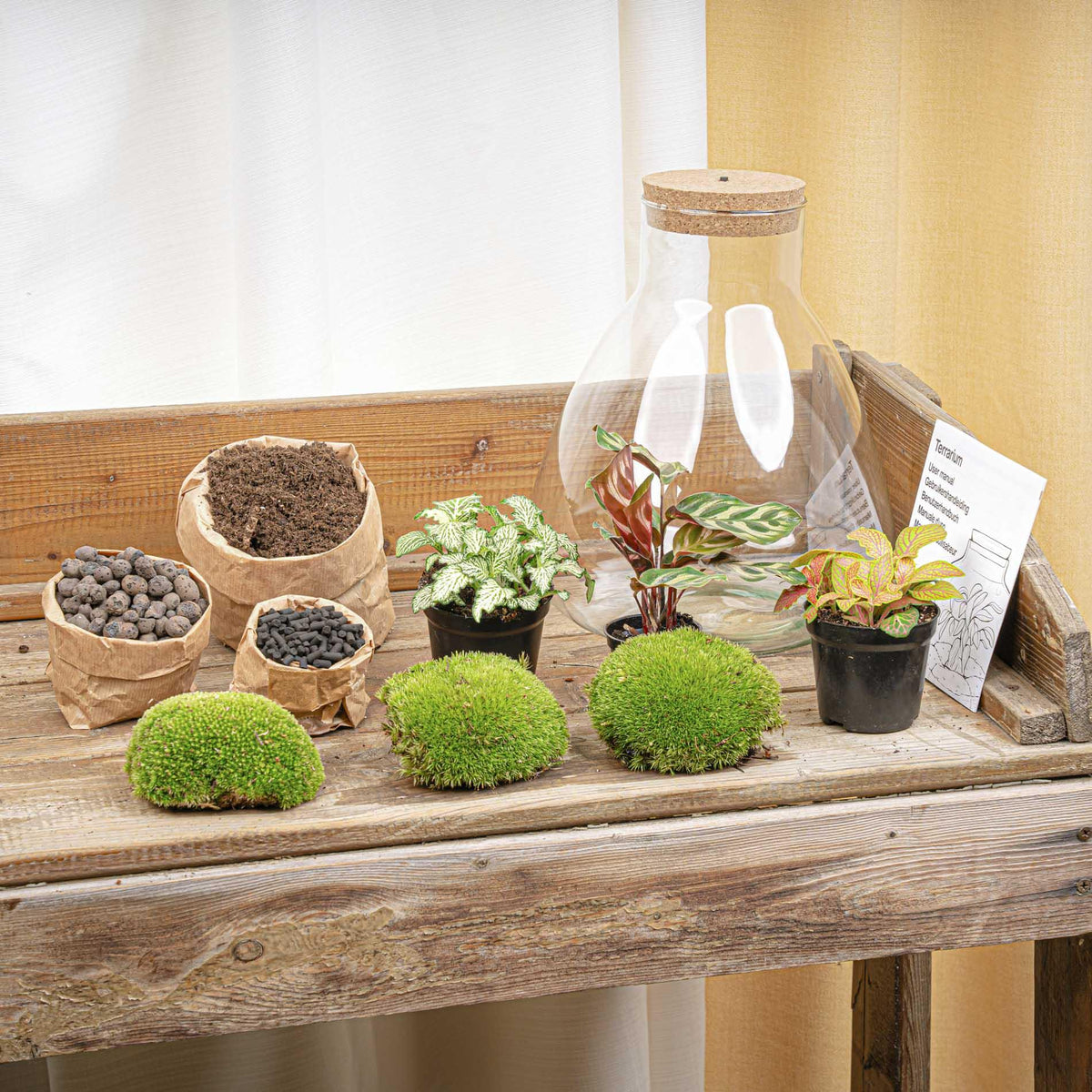 Flaschengarten Sam XL Rot – DIY Bausatz Terrarium – ↕35cm – Do It Yourself Pflanzen – Set – Autarkes Mini – Ansicht 5
